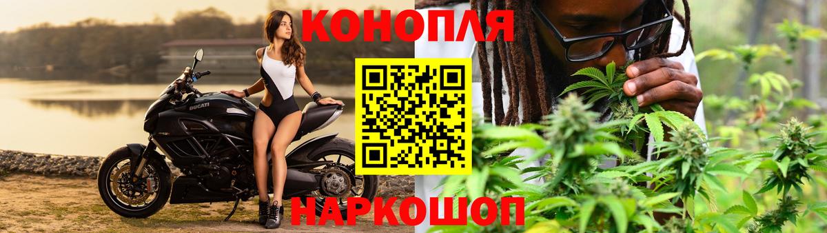 МАРИХУАНА марихуана Выборг
